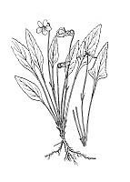 J0834.jpg J0834.jpg