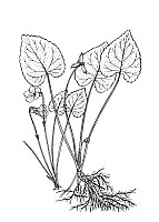 J0839.jpg J0839.jpg