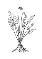 J0842.jpg J0842.jpg