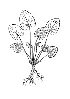 J0851.jpg J0851.jpg