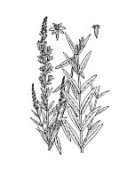 J0857.jpg J0857.jpg