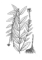 J0876.jpg J0876.jpg