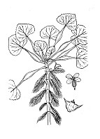 J0880.jpg J0880.jpg