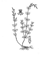 J0882.jpg J0882.jpg