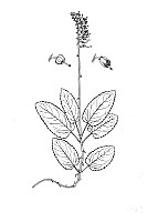 J0887.jpg J0887.jpg
