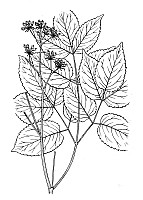 J0897.jpg J0897.jpg