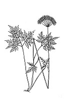 J0899.jpg J0899.jpg