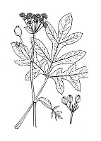 J0903.jpg J0903.jpg