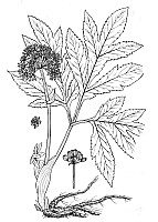J0907.jpg J0907.jpg