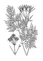 J0915.jpg J0915.jpg