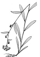 J0917.jpg J0917.jpg