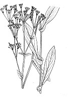 J0920.jpg J0920.jpg