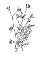 J0922.jpg J0922.jpg