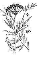 J0924.jpg J0924.jpg