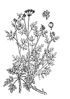J0925.jpg J0925.jpg
