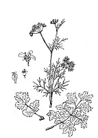 J0929.jpg J0929.jpg