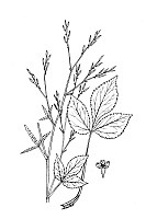 J0930.jpg J0930.jpg