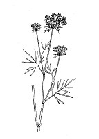 J0932.jpg J0932.jpg