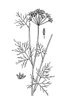 J0934.jpg J0934.jpg