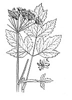 J0935.jpg J0935.jpg