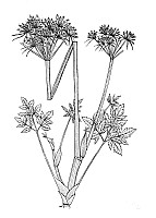 J0936.jpg J0936.jpg