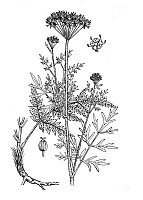 J0939.jpg J0939.jpg