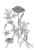J0940.jpg J0940.jpg