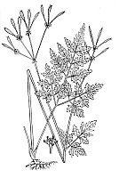J0943.jpg J0943.jpg