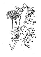 J0945.jpg J0945.jpg