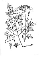 J0948.jpg J0948.jpg