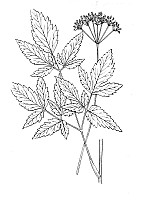 J0956.jpg J0956.jpg