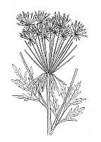 J0957.jpg J0957.jpg