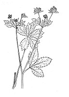 J0958.jpg J0958.jpg