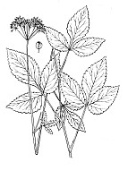 J0961.jpg J0961.jpg