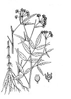 J0966.jpg J0966.jpg