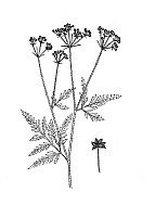 J0967.jpg J0967.jpg
