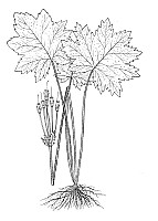 J0972.jpg J0972.jpg