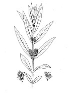 J0981.jpg J0981.jpg