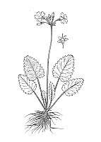 J0986.jpg J0986.jpg