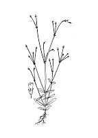 J0989.jpg J0989.jpg