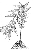 J0995.jpg J0995.jpg