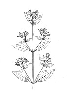 J1001.jpg J1001.jpg