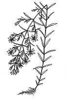 J1002.jpg J1002.jpg