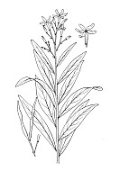 J1012.jpg J1012.jpg