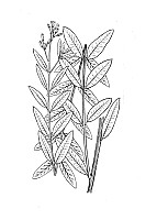 J1013.jpg J1013.jpg
