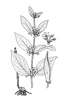 J1016.jpg J1016.jpg