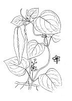 J1022.jpg J1022.jpg