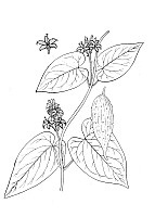J1023.jpg J1023.jpg