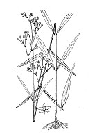 J1024.jpg J1024.jpg