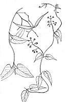 J1025.jpg J1025.jpg